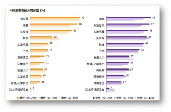 全网担保网品牌工程