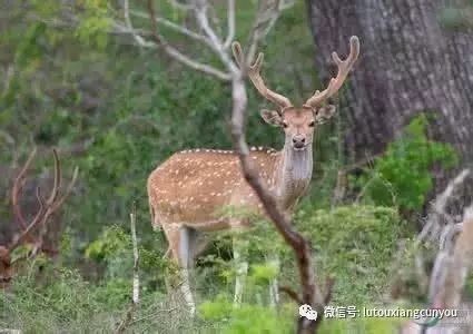 中国全网担保网品牌有哪些