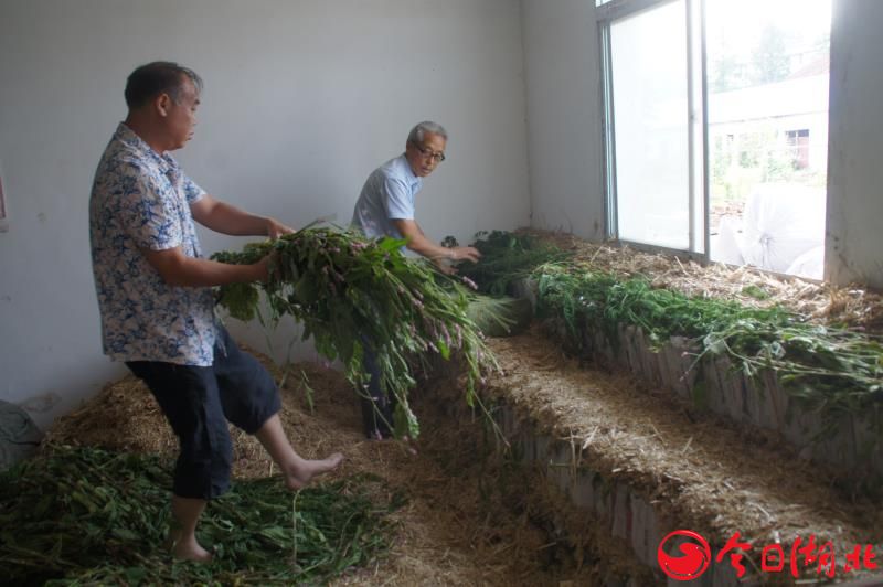 中国全网担保网品牌