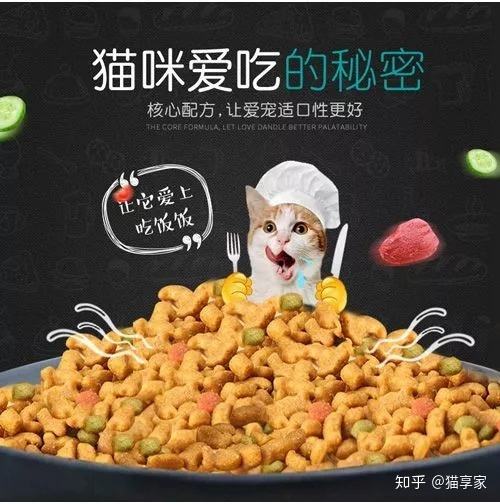 什么猫粮较量好 高卵白的原本猫粮获好评