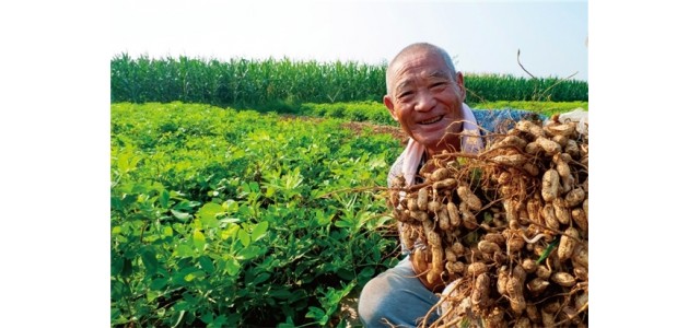 人民好物：打造文化驱动消耗平台 助力国货物牌生长