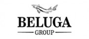 BELUGA白鲸伏特加