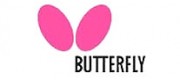 Butterfly蝴蝶